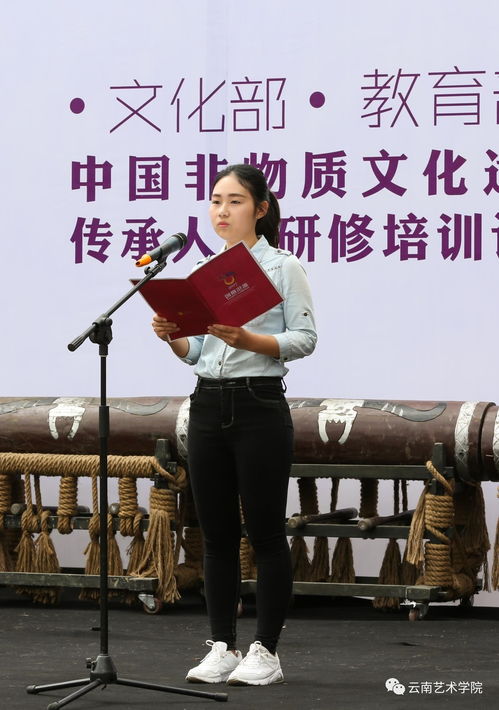 創意蒼原 云南藝術學院設計學院2017民族文化主題創意活動盛大啟幕