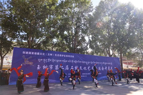 玉樹市第二屆石刻文化藝術交流會開幕